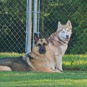 Vinny and Jaxx
