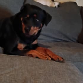 Lilo