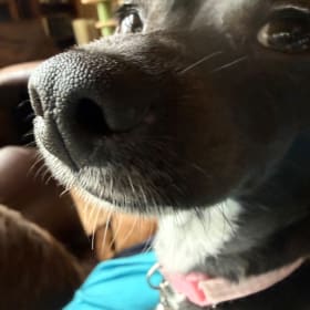 Rita