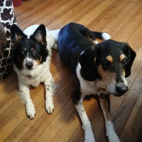 Wyatt-n-Maisee