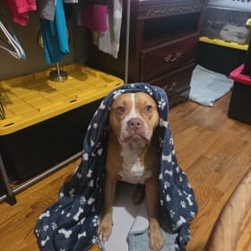 TubbyBear