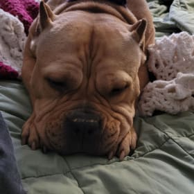 Zoe