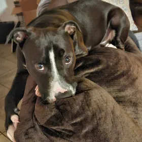 Jax