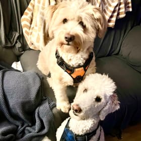Winnie and Finn