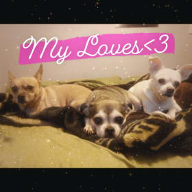 Baby and Mocha and Blanca