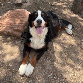 Kona
