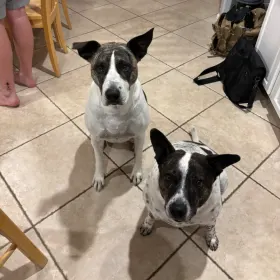 Melody and Brooklyn