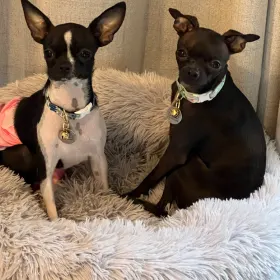 Tilly and Celeste