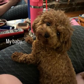 Bella