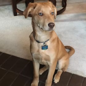 Rusty