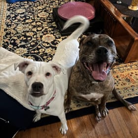 Nora and Lady