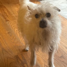 Baxter