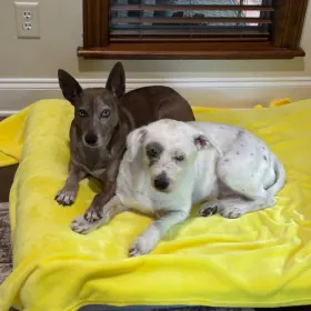 Bailey and Larkin