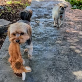 Carl and Lola
