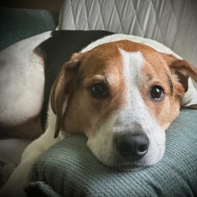 Maggie Mae