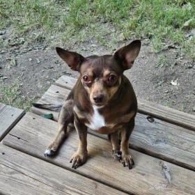 Zoey