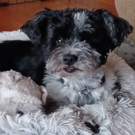 Paco