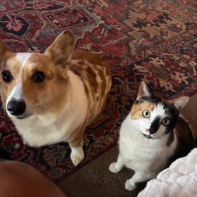 Stormi with cat buddy Suki