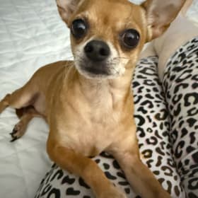 Benny
