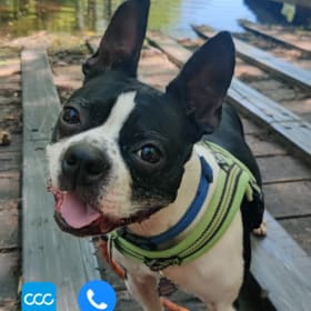Hank