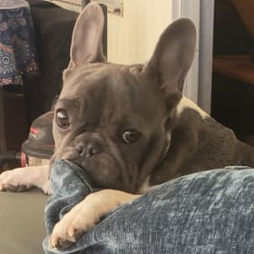 Mouka