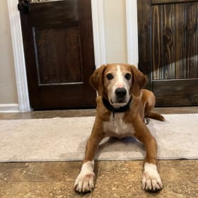 Cooper