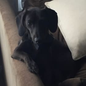 Jax