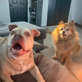 Fiona Nugget