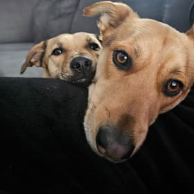 Zuri and Mia