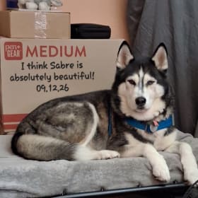 Sabre