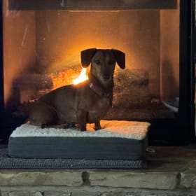 Paco