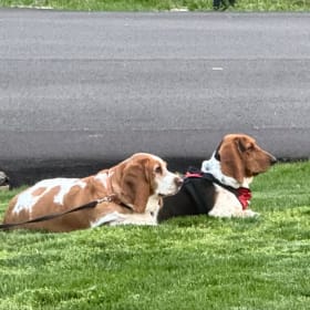Mabel and Lola