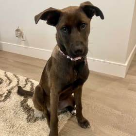 Zoe