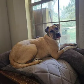 Sam