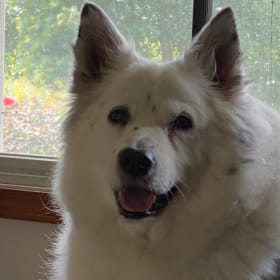 Bella