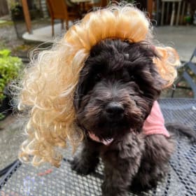 Stella