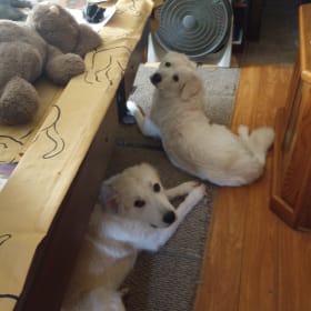 Mickey and Molly