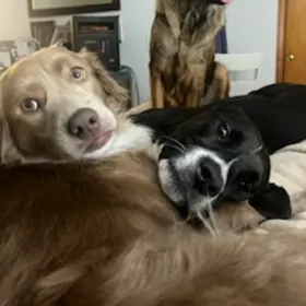 Moose Eden and Gracie