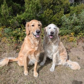 Charlie and Gio