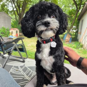 Gus