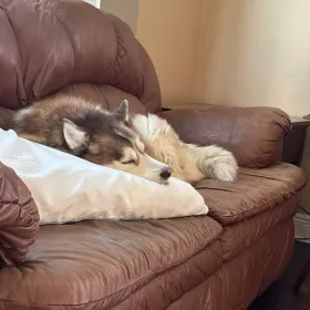 Luca