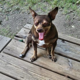 Zoey