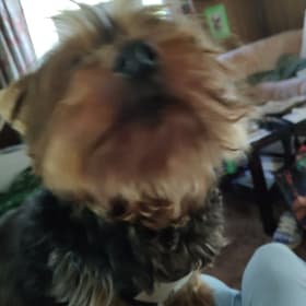 Jack