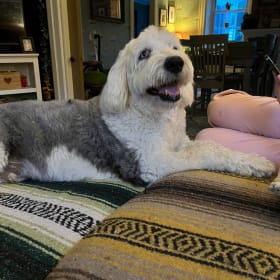 Hank
