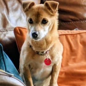 Polly Madra