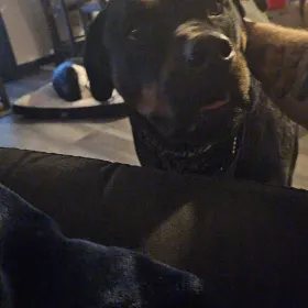 Axel