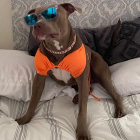 Jada