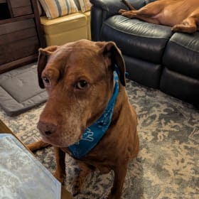 Hank