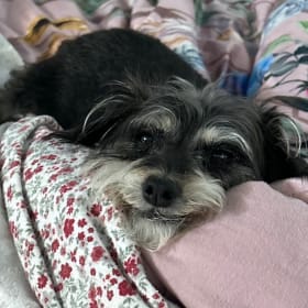 Rosie