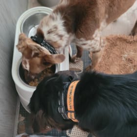 Enyo and Loki